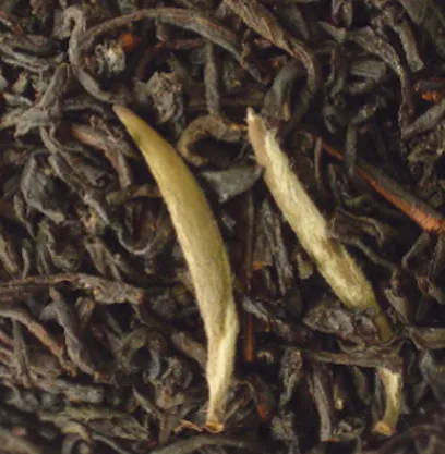 Earl Grey | Thés Aux Agrumes | Compagnie & Co Earl Grey Pointes blanches